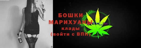 молекула духа Медвежьегорск