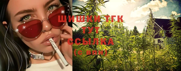 молекула духа Медвежьегорск