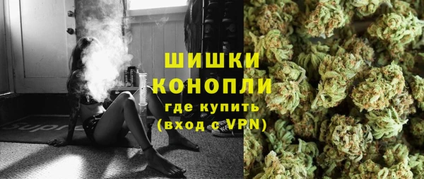 молекула духа Медвежьегорск