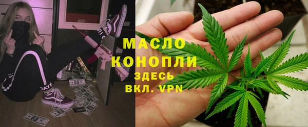 молекула духа Медвежьегорск