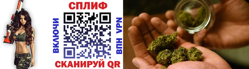 Бошки Шишки план Туран